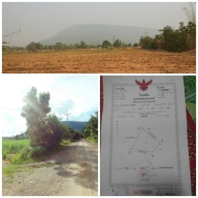 ขายด่วนที่ดินโฉนด 6 ไร่ 3 งาน 55 ตารางวา ยกแปลง 900,000 บาท (อ.ภูเขียว จ.ชัยภูมิ)