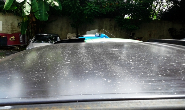 ขาย อีซูซุ TFR มังกรทอง ปี 2532