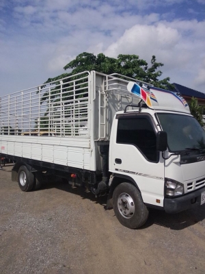 ขายหกล้อNQR175คอมมอลแรลปี51 ยางกระทะเรเดียลมิชลิน90เปอร์เซน แอร์เย็น เครื่องแน่นไม่มีไอ กระบะพร้อมคอกเหล็กสวยๆยาว5.40กว้าง2.30 รถพร้อมใช้ทะเบียนพร้อมโอน พวงมาลัยพาวเวอร์ รถห้างแท้