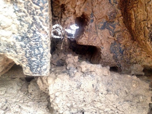 **330,000 บ.ต่อรอง/// แบคโฮ KOBELCO MARK-3 SK200 เก๋งเทา ตามสภาพ **ขายตัด KOBELCO SK200 MARK-3 เก๋งเทาแท้ แบคโฮ รุ่นพิมพ์นิยม ตามสภาพ ขายตัด/ขายเป็นอะไหล่ HYD.EXCAVATOR KOBELCO SK200 MARK-3 S/N.ซีเรียล YN-17338 เก๋งเทาแท้ เครื่อง/ปั้ม เดิมๆ ไฟฟ้าตัด ครับ