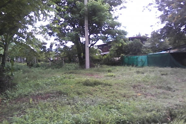 ขออนุญาตินอกเรื่องขายทีดินติดถนนใหญ่สายสกลนคร_อุดร