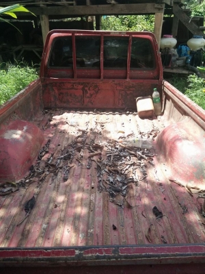 ขายด่วน ไมตี้เอ็กตอนเดียวปี33กับซาเล้ง1คัน ขายควบ