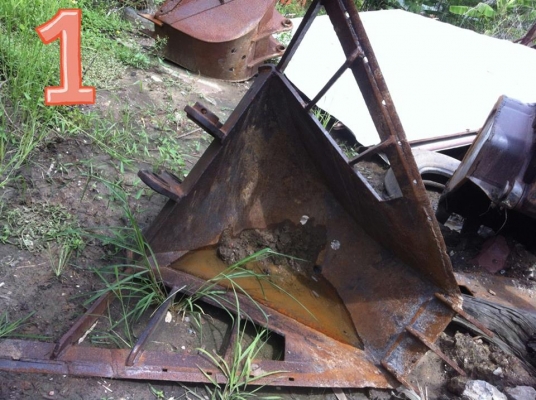 ขายบุ้งกี๋ 2 ลูก ลูกละ  15,000 บาท