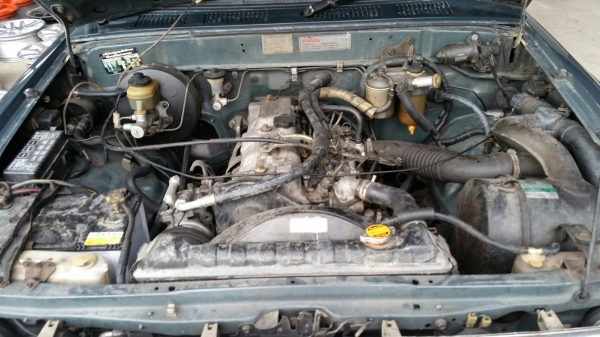 ไมตี้ปี93