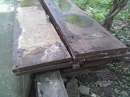 ขายไม้พื้นมะค่าหน้า12นิ้วลดเหลือ28500บาท ขายไม้พื้นมะค่าหน้า12นิ้วลดเหลือ28500บาท