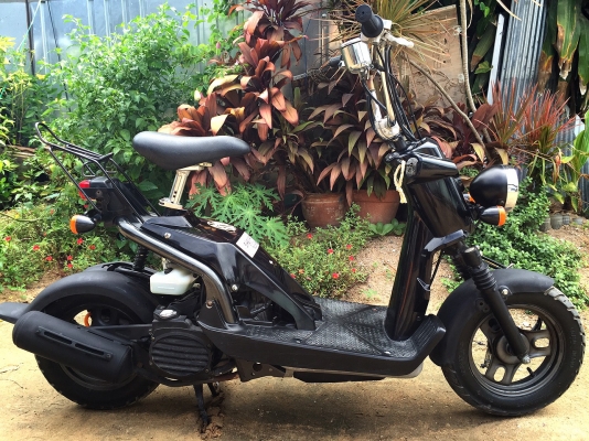 ขาย สกุ๊ตเตอร์ HONDA BITE 50 CC. ราคาถูก