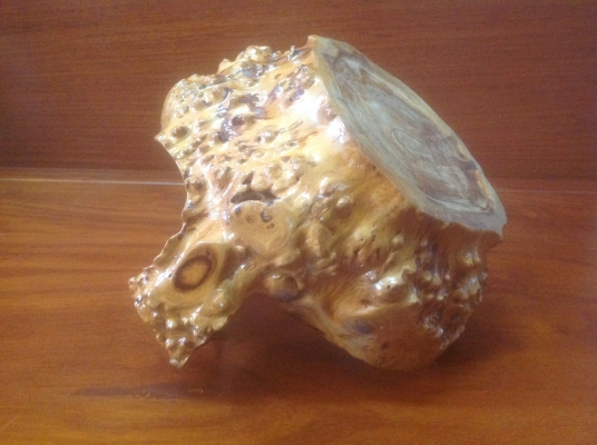 ขายกระเช้าปุ่มไม้มะค่า ขนาด 10"