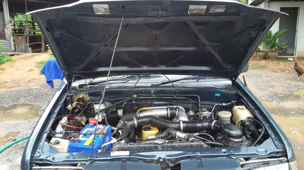 isuzu dargon puwer 2500c.c เครื่องดีแน่นๆ แคชซีสวยงามมาก  แอร์เย็นหนาว  ภายนอก ภายในสวยสะอาด น่านั่ง น่าขับ ขับดี วิ่งดี ช่วงล่างทำใหม่