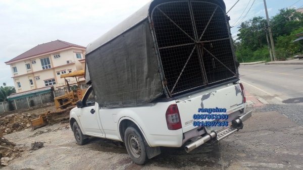 ขายโครงหลังคา ตะแกงข้าง-หลัง   isuzu dmac