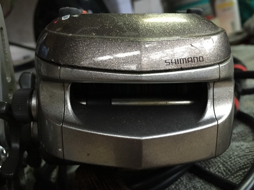 ขายรอกตกปลาไฟฟ้ามีหลายตัว ขายรอกตกปลาไฟฟ้ามีหลายตัว