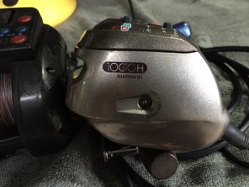 ขายรอกตกปลาไฟฟ้ามีหลายตัว ขายรอกตกปลาไฟฟ้ามีหลายตัว