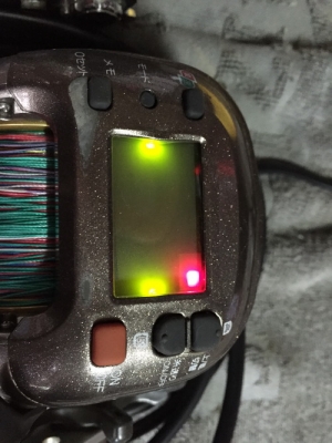 ขายรอกตกปลาไฟฟ้ามีหลายตัว ขายรอกตกปลาไฟฟ้ามีหลายตัว