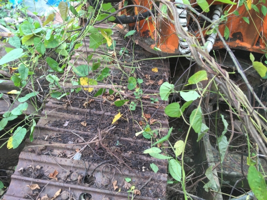 (ลงขายใหม่)รถขุดมีเก๋งตู้รถจอดหนูทำรัง..HALLA HE50 ขายตามสภาพ..มีใบดันหน้า