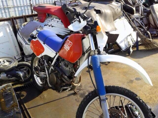 เครื่องญี่ปุ่น XLR250 เครื่องญี่ปุ่น XLR250