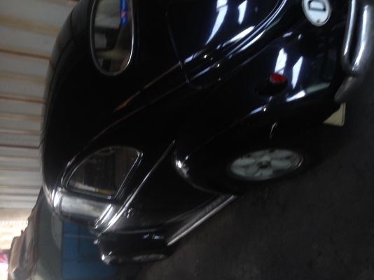 ปล่อยเต่า