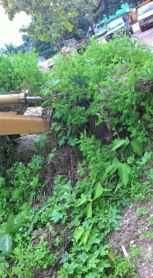 รถตัก ขุดหลัง JCB 3C เครื่องดี เกียร์ดี ปั้มดี ระบบทำงานดี ครบ.