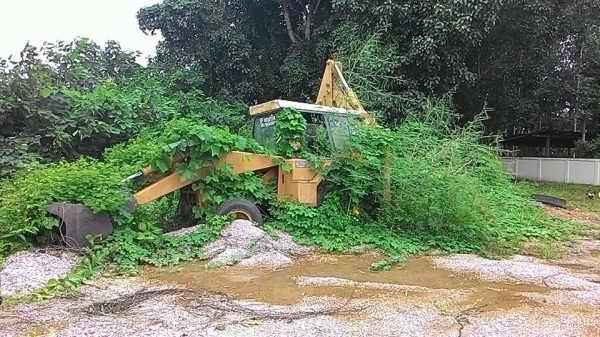 รถตัก ขุดหลัง JCB 3C เครื่องดี เกียร์ดี ปั้มดี ระบบทำงานดี ครบ.