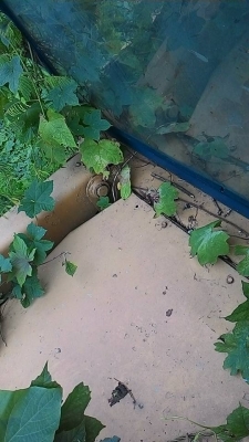 รถตัก ขุดหลัง JCB 3C เครื่องดี เกียร์ดี ปั้มดี ระบบทำงานดี ครบ.