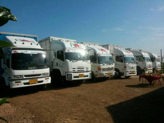 บริการรับส่งสินค้าทั่วประเทศ บริการรถบรรทุกให้เช่าระยะยาว รายเที่ยว ประเภทรถ ตู้ทึบ 10 บาน ยาว 7.69  เมตร มีประกันสินค้าวงเงิน 1ล้านต่อคัน ส่งรถประจำได้ ปลอดภัยใส่ใจบริการ บริษัทภูฟ้าโลจิสติคส์ www.thai7market.com โทร 0817144948 id0851536632 id0850643273