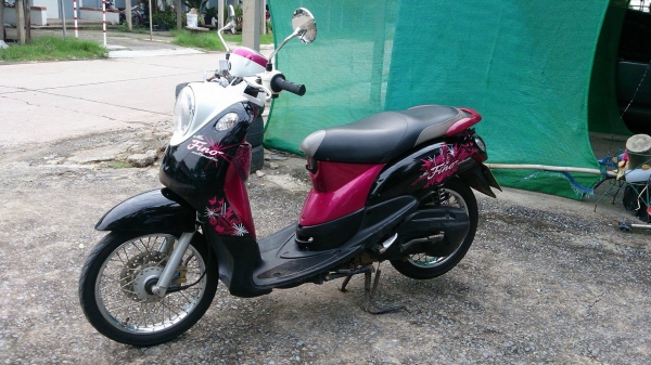 fino ท่ออาร์ม ปี53 สภาพสวย ต่อรองได้ fino ท่ออาร์ม ปี53 สภาพสวย ต่อรองได้