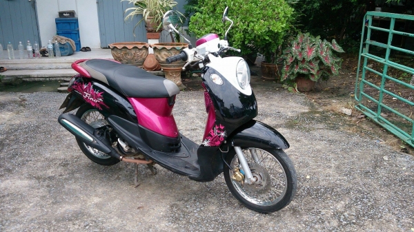 fino ท่ออาร์ม ปี53 สภาพสวย ต่อรองได้ fino ท่ออาร์ม ปี53 สภาพสวย ต่อรองได้