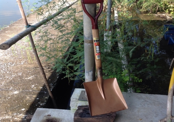 พลั่วตราช้าง