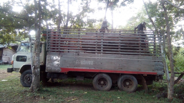 ขาย KT 925 คับ