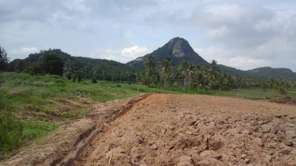 ขายที่ดิน 3 แปลงเล็กติดกันอยู่บ้านหนองหอย.ซอยแก่งกระทิง