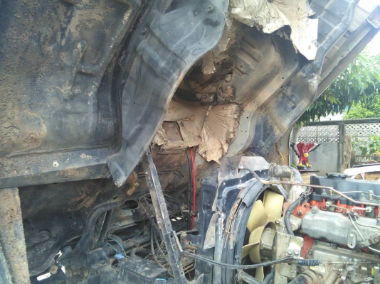 หกล้อ อีซูซุ FSR 32F195นางฟ้า ดั้ม5คิว สภาพดีสวยบางเดิมทั้งคัน พร้อมใช้งาน ทะเบียนพร้อมโอน หกล้อ อีซูซุ FSR 32F195นางฟ้า ดั้ม5คิว สภาพดีสวยบางเดิมทั้งคัน พร้อมใช้งาน ทะเบียนพร้อมโอน