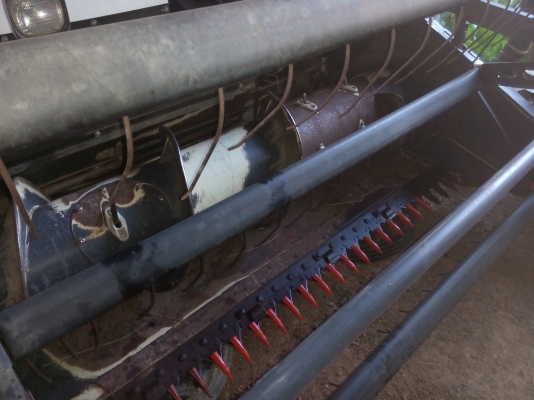 ขอบพระคุณเสี่ยใหญ่จากป่าข่า ขอบพระคุณเสี่ยใหญ่จากป่าข่า