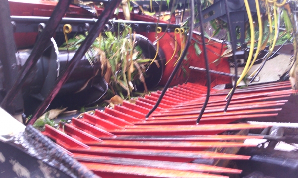 ขายรถเกี่ยว ขายรถเกี่ยว