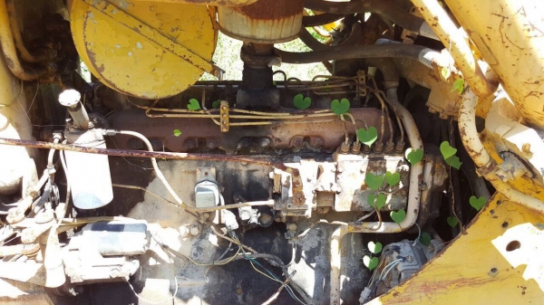 ขายแทรคเตอร์ CAT D5B เอกสารสัญญาซื้อขาย รถพร้อมใช้ เครื่องดี ราคาต่อรองได้ครับ ขายแทรคเตอร์ CAT D5B เอกสารสัญญาซื้อขาย รถพร้อมใช้ เครื่องดี ราคาต่อรองได้ครับ