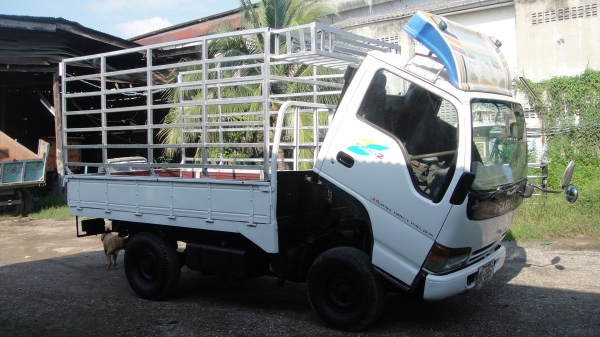 ISUZU NKR หัวการ์ตูน เครื่อง4JB1(88แรง)เครื่องแน่น ยางดี คัสฃีสวย ราคาถูก ISUZU NKR หัวการ์ตูน เครื่อง4JB1(88แรง)เครื่องแน่น ยางดี คัสฃีสวย ราคาถูก