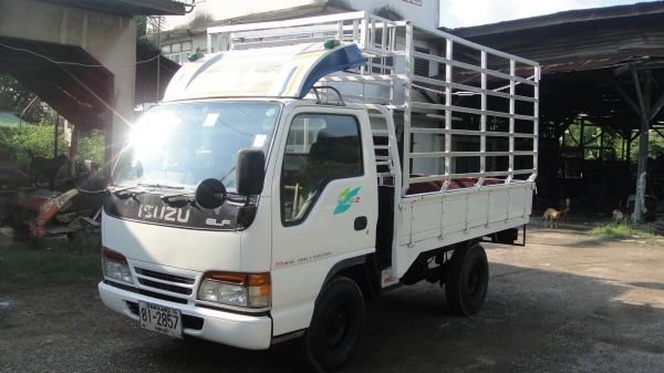 ISUZU NKR หัวการ์ตูน เครื่อง4JB1(88แรง)เครื่องแน่น ยางดี คัสฃีสวย ราคาถูก ISUZU NKR หัวการ์ตูน เครื่อง4JB1(88แรง)เครื่องแน่น ยางดี คัสฃีสวย ราคาถูก