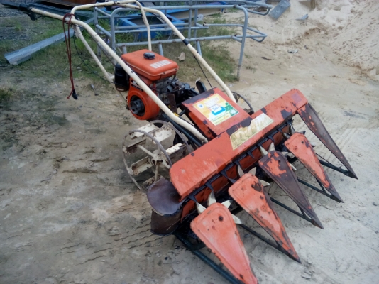 ขาย 19500 บาท