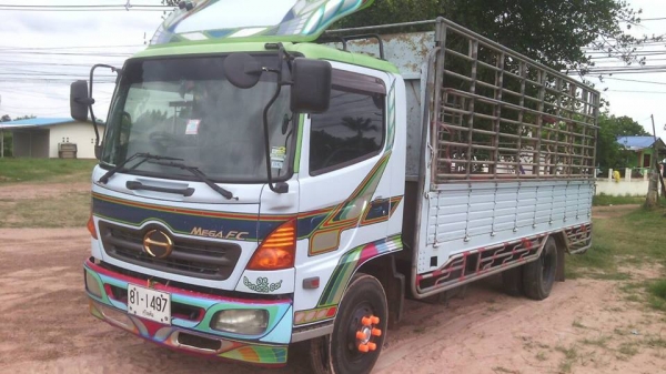 ขาย6ล้อ HiNO MEGA150 ปี50ยาว5.50เมตร แชชซีสวยเครื่องดี เพาเวอร์ เบรคทิ๊ฟฟี่ พร้อมคอกเสริมข้างแป๊ปขาว