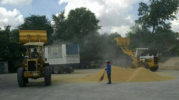 ขายรถตัก แค็ทเตอร์พิลล่า CAT910 เอวอ่อน รุ่นแขนยาว ตักใส่10ล้อ เครื่องดี ช่วงล่างดี สภาพใช้งานทุกวัน