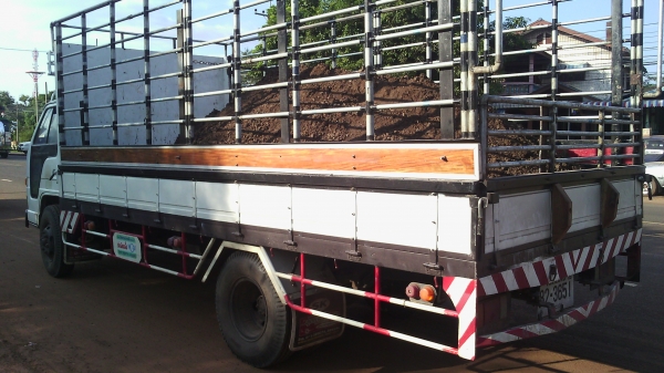 ขายรถ 6 ล้อ ISUZU ขายรถ 6 ล้อ ISUZU