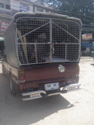 ขายรถกระบะมีแคป ฟอร์ด FORD MARATHON เดิมๆบางๆ ขายรถกระบะมีแคป ฟอร์ด FORD MARATHON เดิมๆบางๆ