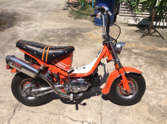 ขายด่วน ชิปปี้