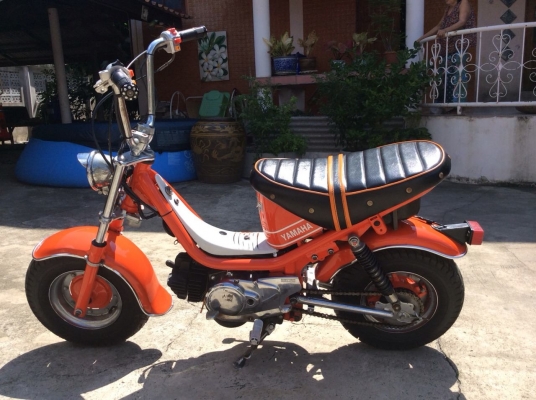 ขายด่วน ชิปปี้