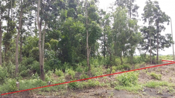 ที่ดินสวยๆ แถวโพรงอากาศ ที่ดินสวยๆ แถวโพรงอากาศ