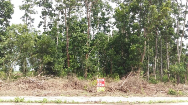 ที่ดินสวยๆ แถวโพรงอากาศ ที่ดินสวยๆ แถวโพรงอากาศ
