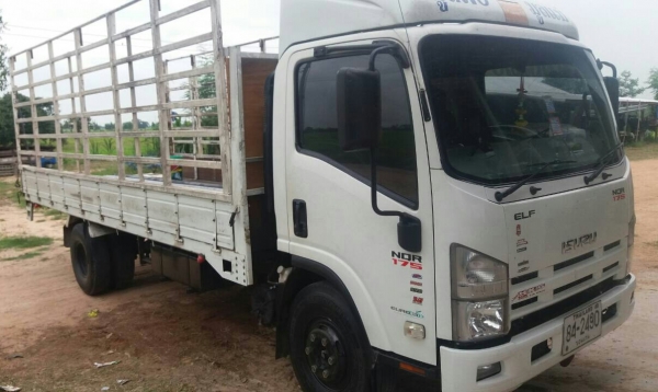 หกล้อ อีซูซ NQR175ปี53ช่วงยาว5.50ม รถสภาพดีสวยจัดบางเดิมทั้งคัน ทะเบียนพร้อมโอน ขายราคา 795,000บ รถสวยน่าใช้