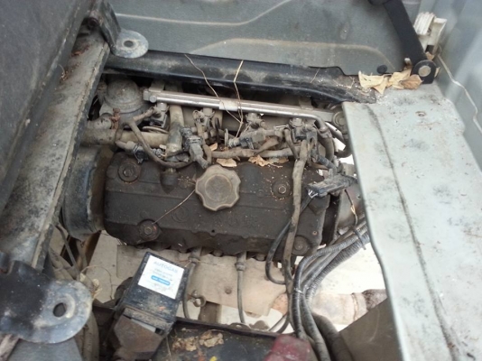 ขายตงฟง ตามสภาพ