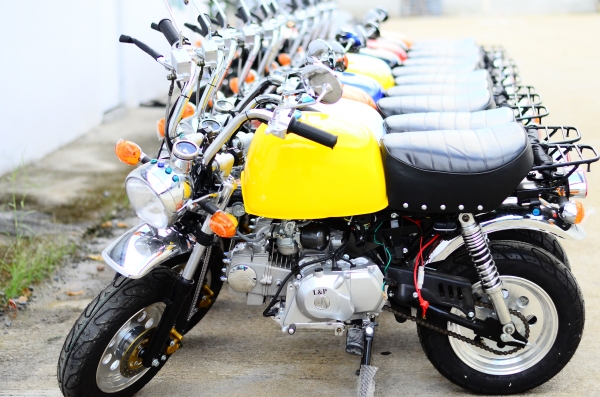 มังกี้ กอลิล่า เดิม ราคาสุดๆ เริ่มต้นเพียง 2XXXX  แต่งๆๆ ลดราคาทุกรุ่นและมีของแถมอีกมากมาย  ด่วนๆๆ ลดๆๆ   เริ่มต้นราคา ที 22999