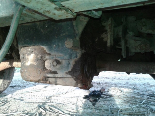 ขาย 10 ล้อหัวยาว 2 เพลา ช่วงล่าง ROCKY 175 เครื่อง 6BF1 185 แรงม้า สโลว์อินเตอร์ เบรคลมดัน พาวเวอร์ คานหน้าใหญ่ ราคาต่อรองได้ครับ ขาย 10 ล้อหัวยาว 2 เพลา ช่วงล่าง ROCKY 175 เครื่อง 6BF1 185 แรงม้า สโลว์อินเตอร์ เบรคลมดัน พาวเวอร์ คานหน้าใหญ่ ราคาต่อรองได้ครับ