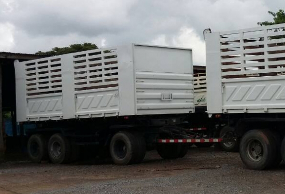 10ล้อ ISUZU DECA FXZ-360 ยูโร3 พ่วงแม่ลูกดั้มเกษตรสามมิตรฯ **ขาย ISUZU DECA-360 EURO-3 22ล้อพ่วง แม่/53 +ลูก/54 ดั้มเกษตรสามมิตร สภาพสวย บาง พร้อมใช้งาน ISUZU DECA FXZ-360 EURO-3 ปี53 เครื่องเดิม เกียร์เดิม แห้งดี แน่น แรง ไม่เยิ้ม