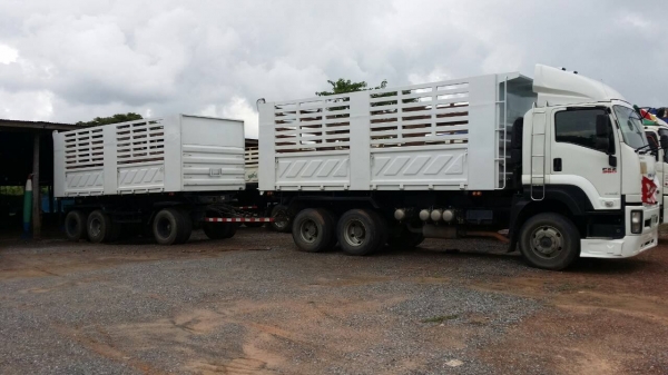 10ล้อ ISUZU DECA FXZ-360 ยูโร3 พ่วงแม่ลูกดั้มเกษตรสามมิตรฯ **ขาย ISUZU DECA-360 EURO-3 22ล้อพ่วง แม่/53 +ลูก/54 ดั้มเกษตรสามมิตร สภาพสวย บาง พร้อมใช้งาน ISUZU DECA FXZ-360 EURO-3 ปี53 เครื่องเดิม เกียร์เดิม แห้งดี แน่น แรง ไม่เยิ้ม