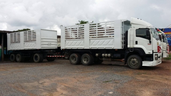 10ล้อ ISUZU DECA FXZ-360 ยูโร3 พ่วงแม่ลูกดั้มเกษตรสามมิตรฯ **ขาย ISUZU DECA-360 EURO-3 22ล้อพ่วง แม่/53 +ลูก/54 ดั้มเกษตรสามมิตร สภาพสวย บาง พร้อมใช้งาน ISUZU DECA FXZ-360 EURO-3 ปี53 เครื่องเดิม เกียร์เดิม แห้งดี แน่น แรง ไม่เยิ้ม